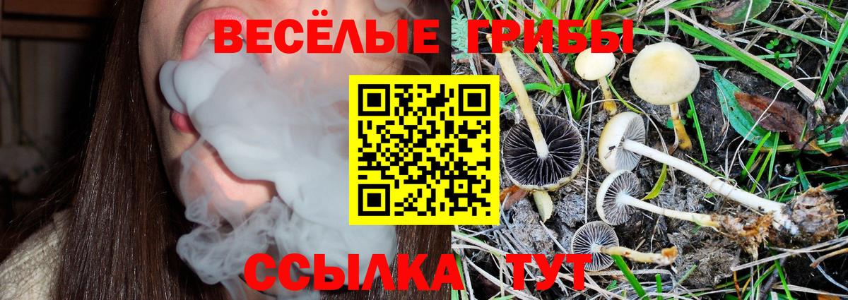 Псилоцибиновые грибы Psilocybe  Галлюциногенные грибы мицелий  Барнаул  Вход с VPN 
